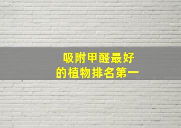 吸附甲醛最好的植物排名第一