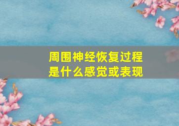 周围神经恢复过程是什么感觉或表现