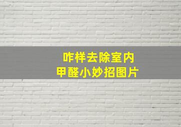 咋样去除室内甲醛小妙招图片