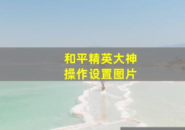 和平精英大神操作设置图片