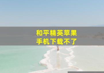 和平精英苹果手机下载不了