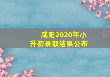 咸阳2020年小升初录取结果公布