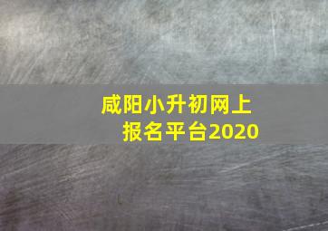 咸阳小升初网上报名平台2020