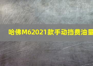 哈佛M62021款手动挡费油量