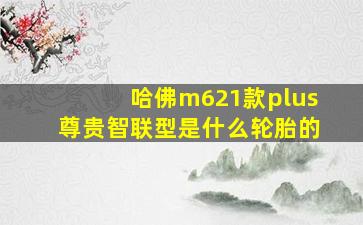 哈佛m621款plus尊贵智联型是什么轮胎的