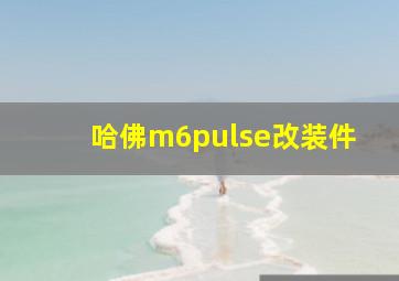 哈佛m6pulse改装件