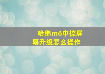 哈佛m6中控屏幕升级怎么操作