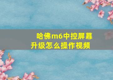 哈佛m6中控屏幕升级怎么操作视频