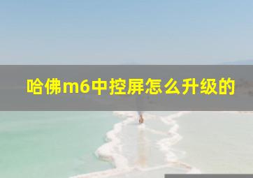 哈佛m6中控屏怎么升级的