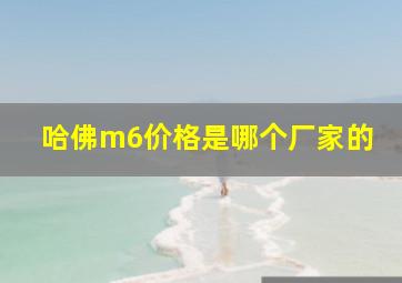 哈佛m6价格是哪个厂家的