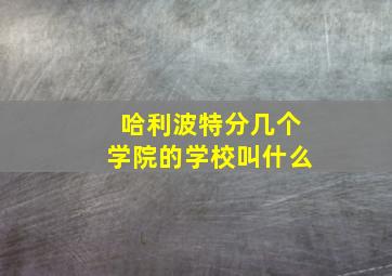 哈利波特分几个学院的学校叫什么