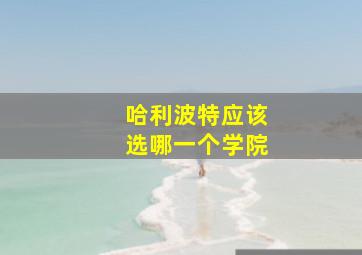 哈利波特应该选哪一个学院