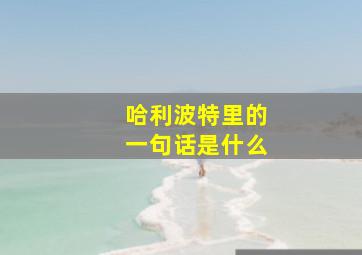 哈利波特里的一句话是什么