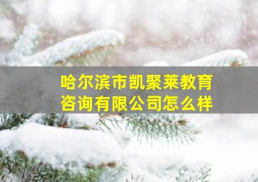 哈尔滨市凯聚莱教育咨询有限公司怎么样