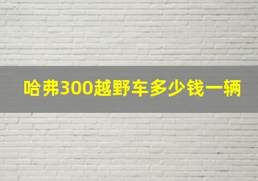 哈弗300越野车多少钱一辆