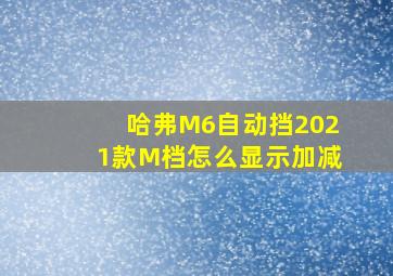 哈弗M6自动挡2021款M档怎么显示加减