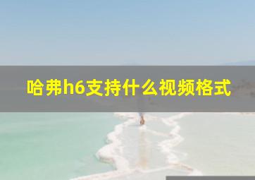 哈弗h6支持什么视频格式