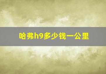 哈弗h9多少钱一公里