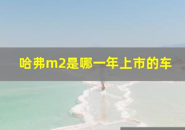 哈弗m2是哪一年上市的车