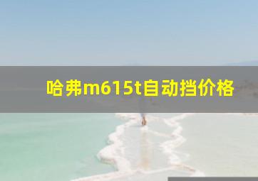 哈弗m615t自动挡价格