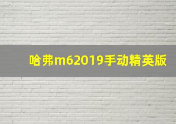 哈弗m62019手动精英版