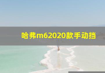 哈弗m62020款手动挡