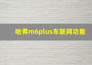 哈弗m6plus车联网功能