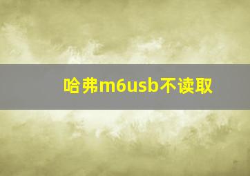 哈弗m6usb不读取