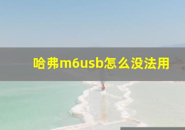 哈弗m6usb怎么没法用