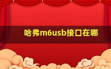 哈弗m6usb接口在哪