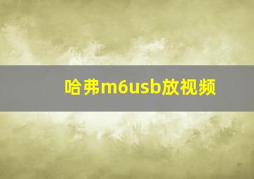 哈弗m6usb放视频