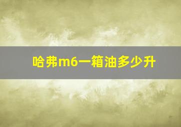 哈弗m6一箱油多少升