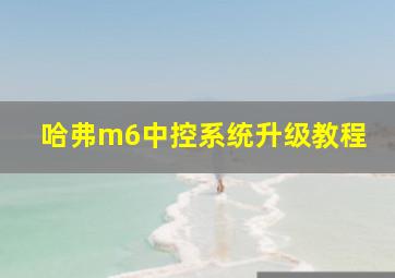 哈弗m6中控系统升级教程