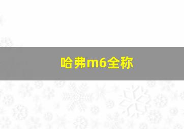 哈弗m6全称