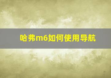 哈弗m6如何使用导航