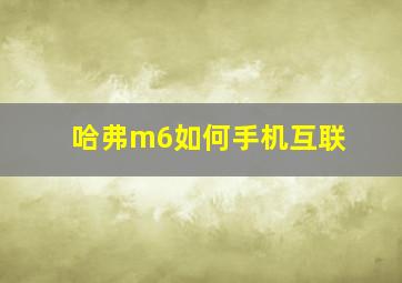 哈弗m6如何手机互联