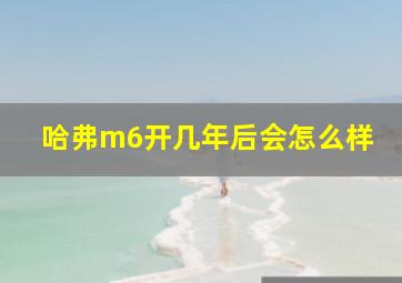 哈弗m6开几年后会怎么样