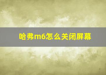 哈弗m6怎么关闭屏幕