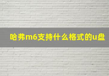 哈弗m6支持什么格式的u盘