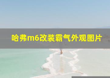 哈弗m6改装霸气外观图片