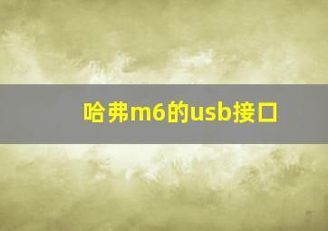 哈弗m6的usb接口