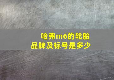 哈弗m6的轮胎品牌及标号是多少