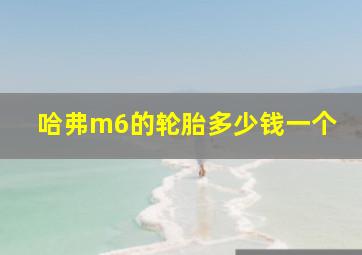 哈弗m6的轮胎多少钱一个