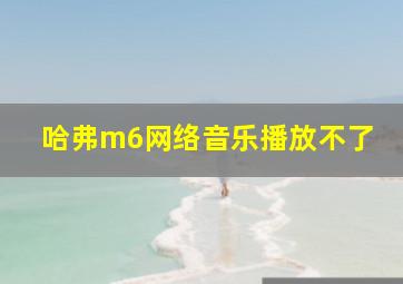 哈弗m6网络音乐播放不了