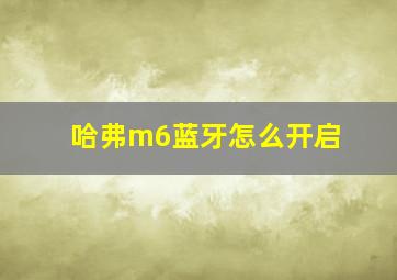 哈弗m6蓝牙怎么开启