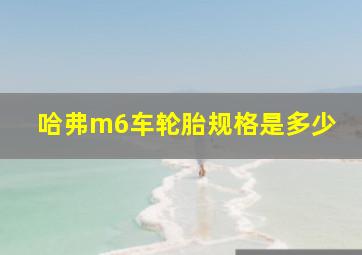 哈弗m6车轮胎规格是多少