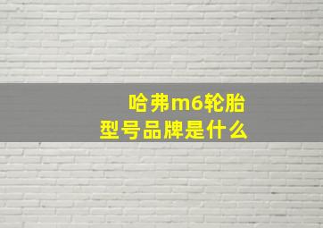 哈弗m6轮胎型号品牌是什么