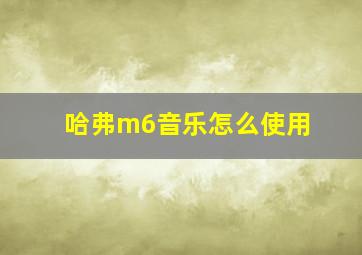 哈弗m6音乐怎么使用