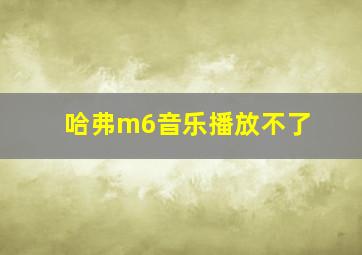 哈弗m6音乐播放不了