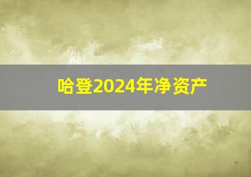 哈登2024年净资产